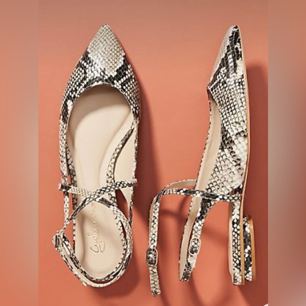 Guilhermina Pointed-Toe Flats